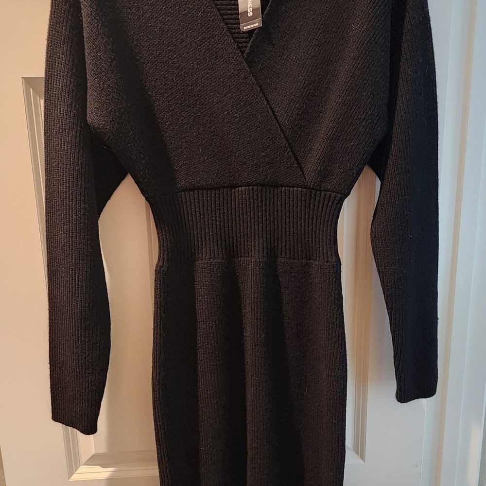 Express Sweater Dress